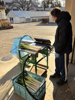 皮むき機での作業風景の画像