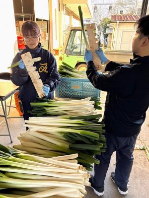 規格選別をしている画像