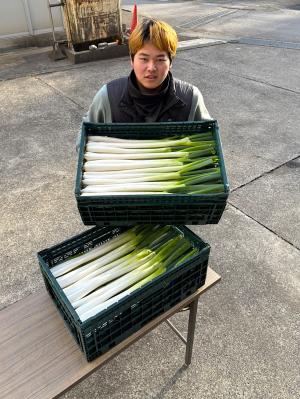 コンテナに詰めた画像