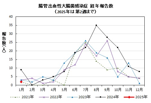 腸管出血性大腸菌感染症　経年報告数画像