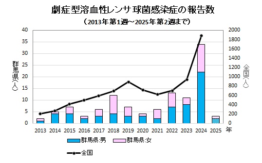 劇症型溶血性レンサ球菌感染グラフ　経年画像