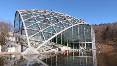 ドーム作業全体の様子