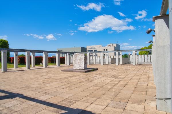 駐車場屋上庭園写真