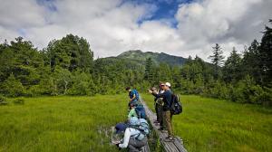 自然観察の写真