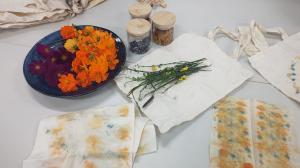 草木染めの写真