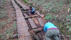 木道修繕の写真2