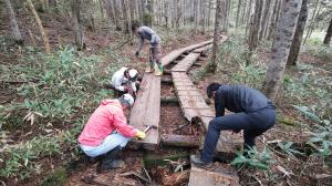 木道修繕の写真3