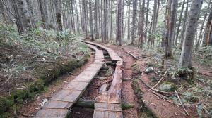 木道修繕前の写真