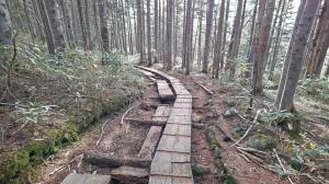 木道修繕後の写真