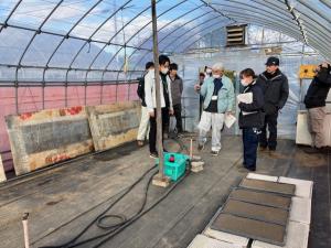 育苗ハウスの審査中の画像