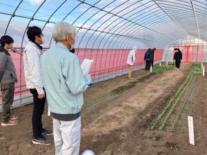ハウス内の栽培状況を確認している画像