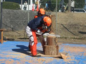 森林コースのチェーンソーのデモンストレーションの画像