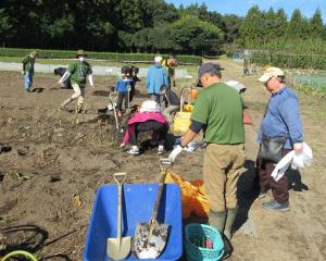 実践学校収穫体験の画像