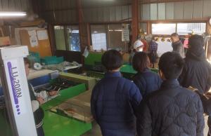 ネギの作業場を視察している画像2