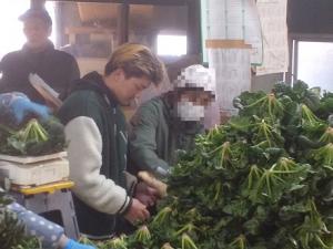 ちぢみホウレンソウの袋詰めを体験している画像2