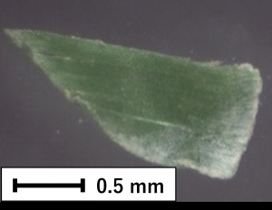 ポリプロピレン2の画像