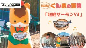 いいね！ぐんまの宝物動画