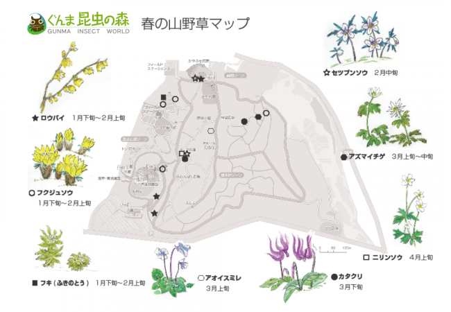 2月~4月の山野草マップ