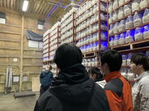 菌床きのこの生産工場内の画像