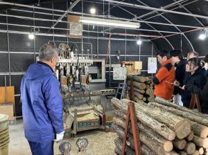 原木しいたけの生産現場の画像