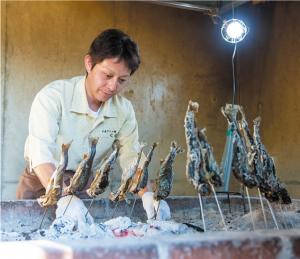 案内人　木暮忍さんの写真