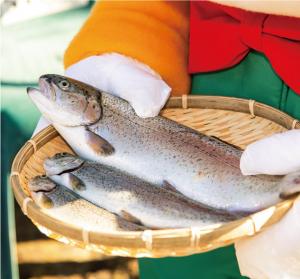 群馬のサーモン軍団に注目！の写真