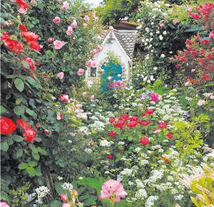 オープンガーデンで公開している庭の写真