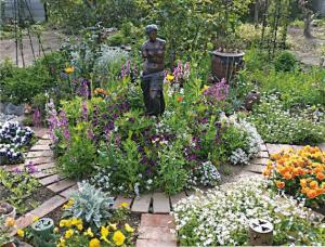 さまざまな色彩の花々の写真