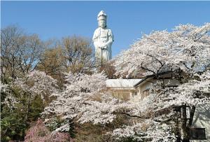 高崎白衣大観音の写真