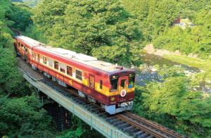  新緑を駆け抜けるトロッコわっしー号の写真