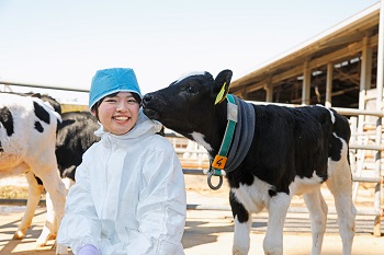 獣医師2（令和6年度）業務写真3