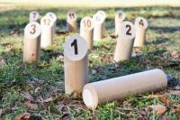 モルックの画像