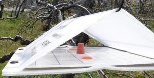 トラップの写真