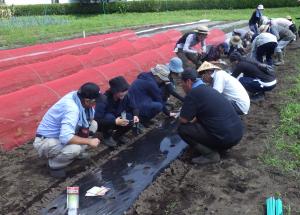 播種の実習中の画像