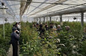 バラ温室での研修会の画像