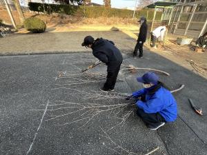 枝の調整をしている画像