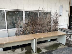 調整した枝を保管している画像