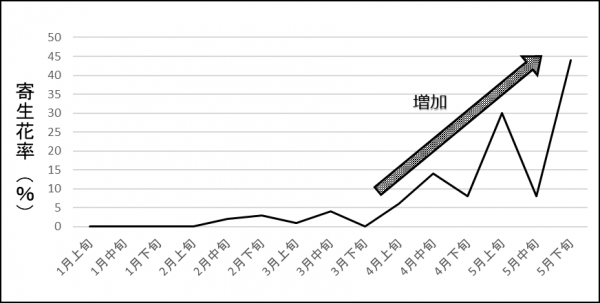 促成イチゴのアザミウマ類の寄生花率の推移を表した図の画像