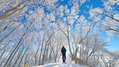 ぐんまの風景・食べもの（秋冬）第１位の写真