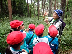 樹木・自然観察の写真