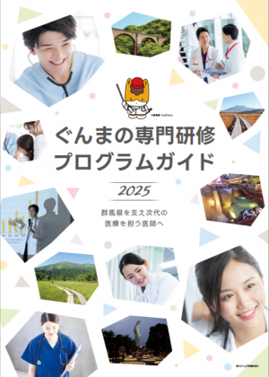 専門研修プログラムガイド画像