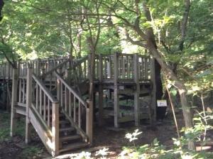 チョウの道観察デッキ