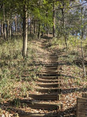 南側からの登り口