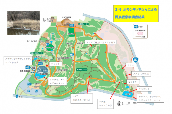 3月9日野鳥観察会の結果