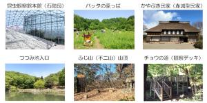 ウォークラリー6地点の写真