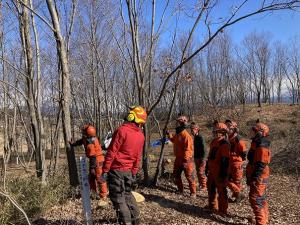 危険予知活動中の画像