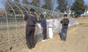 ハウスサイドのネットを張っている画像