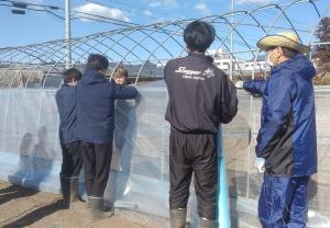 ハウスサイドのビニールを設置している画像