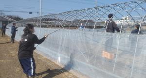 天井のビニールを張っている画像2