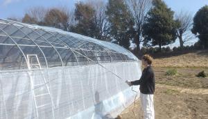 ビニールを張っている画像1